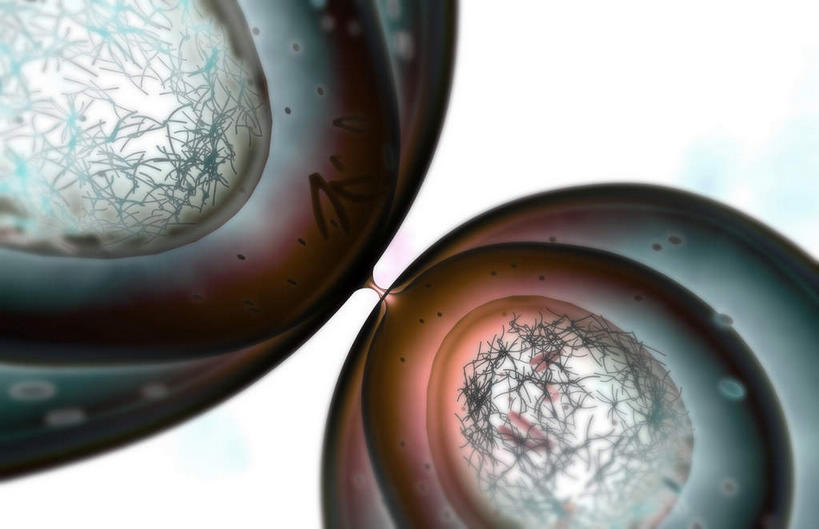 无人,横图,插画,室内,白天,正面,数码,科技,微生物,静物,阴影,网络,医学,细胞,高光,几何,计算机图形,合成,图画,画,白色,生物,人体,电脑合成图,数码合成图,医疗,生物学,漫画,生理学,写实,具体,具象,寄生,生命体,细胞膜,彩图