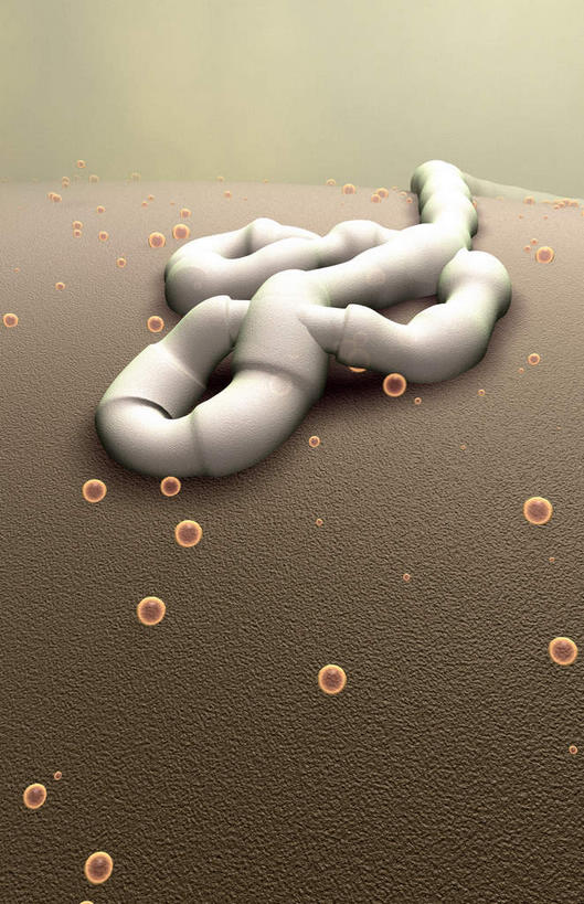 无人,竖图,插画,室内,白天,正面,数码,科技,静物,阴影,网络,医学,高光,几何,计算机图形,合成,图画,画,生物,人体,电脑合成图,数码合成图,医疗,生物学,漫画,生理学,写实,具体,具象,埃博拉病毒,丝状病毒,彩图