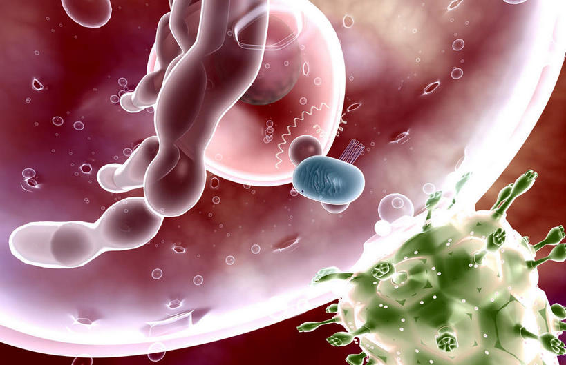 无人,横图,插画,室内,白天,正面,数码,科技,静物,阴影,黑色背景,网络,医学,高光,几何,计算机图形,合成,图画,画,生物,人体,电脑合成图,数码合成图,医疗,疾病,生物学,艾滋病,漫画,生理学,写实,具体,具象,传染,传染病,HIV病毒,后天性免疫缺陷症候群,获得性免疫缺陷综合症,流行症,慢性病,人类免疫缺陷病毒,症候群,综合症,致命,反转录酶,逆转录酶,彩图,感染