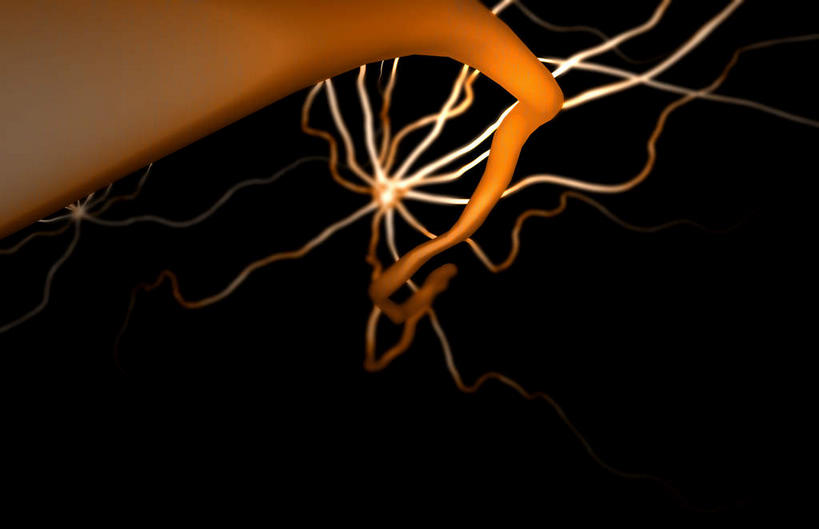 无人,横图,插画,室内,白天,正面,数码,科技,微生物,静物,阴影,网络,医学,高光,几何,计算机图形,合成,图画,画,黄色,生物,人体,电脑合成图,数码合成图,医疗,生物学,漫画,神经元,生理学,写实,具体,具象,树突,寄生,生命体,运动神经元,轴突,彩图,神经系统