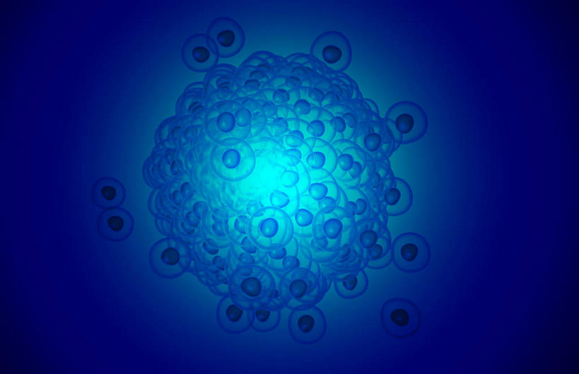 无人,横图,插画,室内,白天,正面,数码,科技,微生物,静物,阴影,蓝色背景,网络,医学,高光,几何,计算机图形,合成,图画,画,蓝色,生物,人体,电脑合成图,数码合成图,医疗,生物学,漫画,生理学,写实,具体,具象,卵,寄生,生命体,桑椹胚,彩图,受精卵