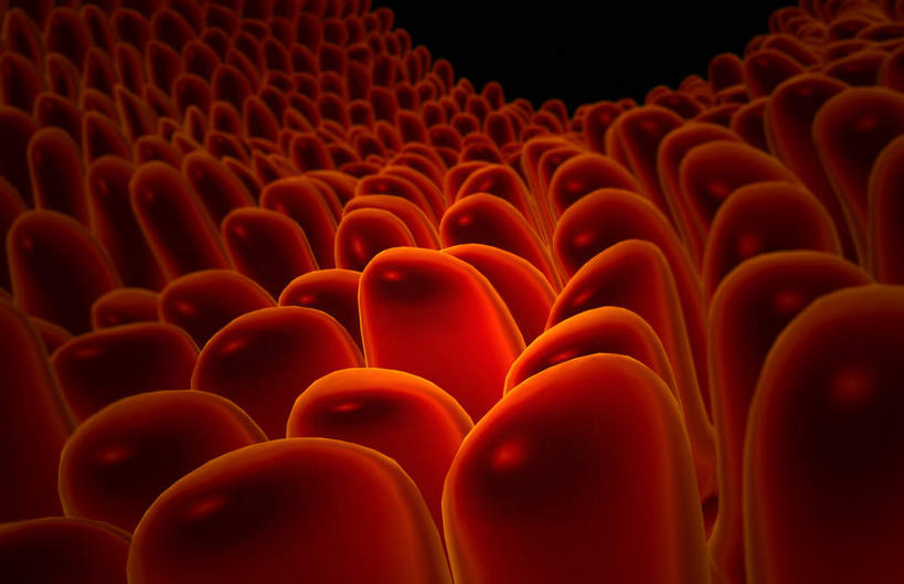 无人,横图,插画,室内,白天,正面,数码,科技,静物,阴影,黑色背景,网络,医学,高光,几何,计算机图形,合成,图画,画,红色,粘液,生物,人体,电脑合成图,数码合成图,医疗,生物学,漫画,生理学,写实,具体,具象,微绒毛,粘膜,彩图