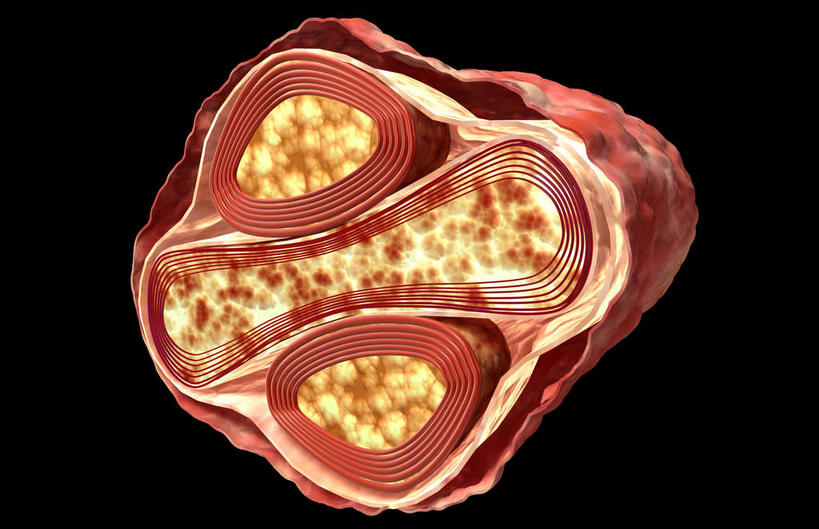 无人,横图,插画,室内,特写,白天,正面,数码,科技,微生物,阴影,黑色背景,网络,医学,高光,几何,计算机图形,合成,图画,画,生物,电脑合成图,数码合成图,医疗,病毒,生物学,漫画,写实,具体,具象,传染病,寄生,生命体,生物病毒,DNA病毒,痘病毒,彩图,天花病毒