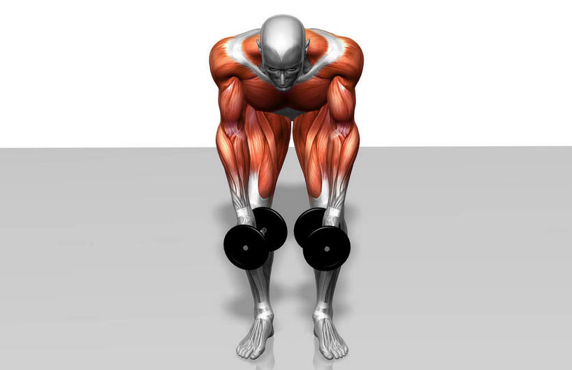 动脉,静脉,骨骼,肌肉,健壮,一个人,无人,站,横图,插画,室内,特写,白天,白色背景,正面,数码,科技,静物,哑铃,仅一个男性,仅一个人,弯腰,阴影,反射,网络,医学,影子,骨头,高光,几何,计算机图形,合成,图画,拎,运动器械,画,仅一个年轻男性,两个,模型,低头,站着,健康,健身器械,活力,力量,人体,青春,电脑合成图,数码合成图,骨架,生物学,强壮,健身器材,漫画,肱二头肌,生理学,写实,具体,具象,弯身,背阔肌,腓长肌,男人,男性,年轻男性,站立,彩图,全身,运动器材,拎着