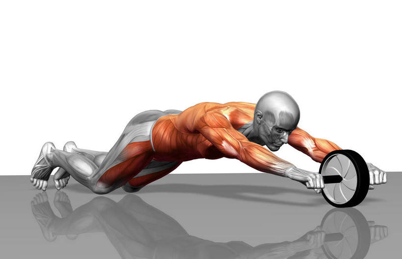 动脉,静脉,骨骼,肌肉,健壮,一个人,无人,横图,插画,室内,特写,白天,白色背景,侧面,数码,科技,静物,仅一个男性,仅一个人,撑,阴影,反射,网络,医学,轮子,影子,骨头,高光,几何,计算机图形,合成,图画,注视,运动器械,画,仅一个年轻男性,一个,模型,观察,看,趴着,健康,健身器械,活力,力量,人体,单个,观看,青春,电脑合成图,数码合成图,骨架,察看,生物学,撑着,强壮,关注,胸肌,健身器材,漫画,肱二头肌,生理学,写实,具体,具象,背阔肌,腰肌,男人,男性,年轻男性,趴,抬头,仰头,彩图,全身,运动器材