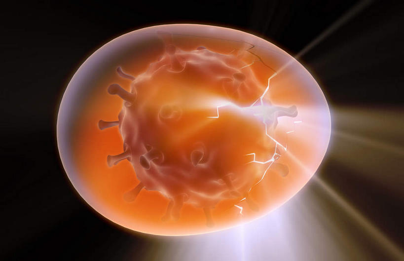 无人,横图,插画,室内,特写,白天,正面,数码,科技,微生物,阴影,黑色背景,发光,网络,医学,高光,几何,计算机图形,合成,图画,画,生物,刺眼,耀眼,电脑合成图,数码合成图,医疗,病毒,生物学,漫画,写实,具体,具象,寄生,甲型流感病毒,禽流感病毒,生命体,生物病毒,彩图,夺目