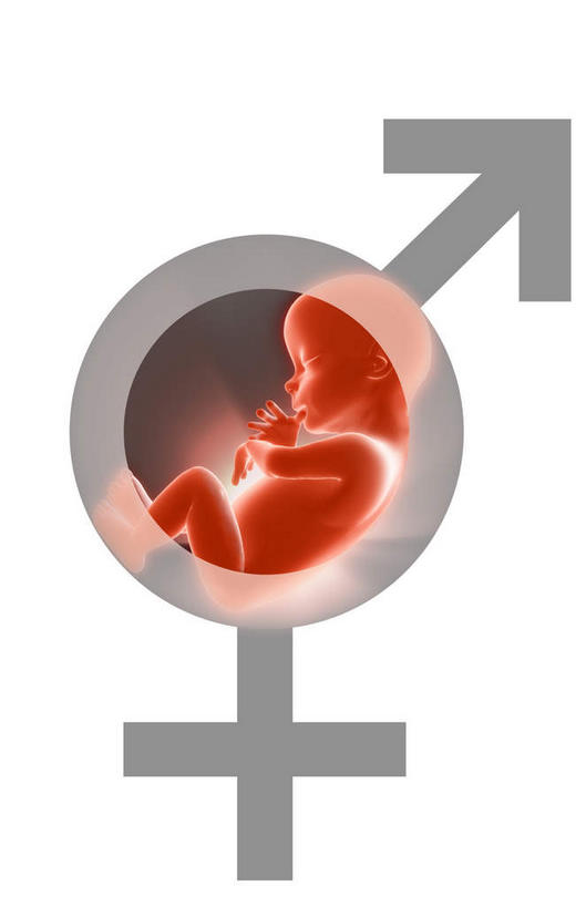 无人,竖图,插画,室内,特写,白天,白色背景,正面,数码,科技,指示牌,阴影,网络,标志,高光,几何,计算机图形,合成,图画,方向,标识,箭头,画,红色,生长,成长,电脑合成图,数码合成图,胎儿,指向,发育,漫画,孕育,性别,写实,具体,具象,簇,彩图,胚胎