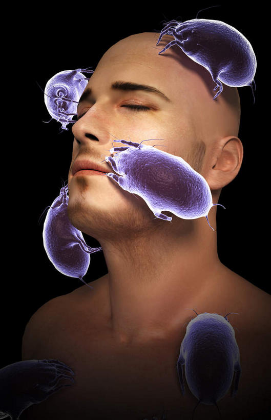 脸,头,脸颊,胡须,一个人,无人,站,闭眼,竖图,插画,室内,特写,白天,正面,数码,科技,仅一个男性,仅一个人,阴影,黑色背景,光线,网络,影子,高光,几何,计算机图形,合成,图画,裸露,画,仅一个年轻男性,紫色,阳光,站着,赤裸,电脑合成图,数码合成图,裸,漫画,写实,具体,具象,螨虫,尘螨,男人,男性,年轻男性,山羊胡,头部,胡子,脸部,脸蛋,面部,闭眼睛,闭着眼,闭着眼睛,抬头,仰头,站立,半身,彩图