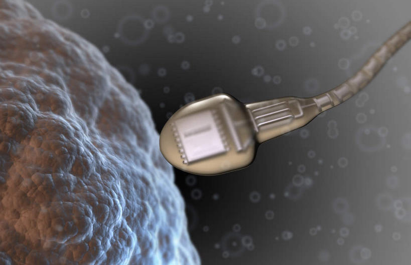 无人,横图,插画,室内,特写,白天,正面,数码,科技,静物,阴影,灰色背景,网络,医学,细胞,高光,几何,计算机图形,合成,图画,画,精子,人体,电脑合成图,数码合成图,生物学,漫画,生理学,写实,具体,具象,卵,彩图,受精卵