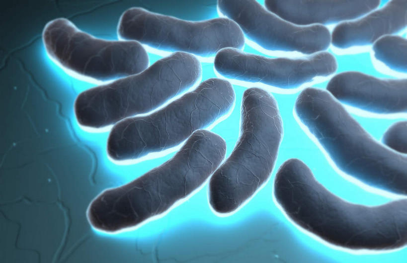 无人,横图,插画,室内,特写,白天,正面,数码,科技,静物,阴影,蓝色背景,发光,网络,细菌,医学,细胞,高光,几何,计算机图形,合成,图画,画,绿色,人体,电脑合成图,数码合成图,生物学,漫画,生理学,写实,具体,具象,大肠杆菌,彩图,原核生物