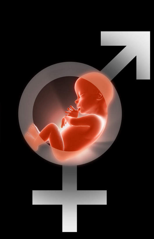 无人,闭眼,竖图,插画,室内,特写,白天,侧面,数码,科技,指示牌,阴影,黑色背景,网络,标志,圆圈,高光,几何,计算机图形,合成,图画,方向,标识,箭头,画,红色,生长,成长,电脑合成图,数码合成图,胎儿,指向,发育,漫画,孕育,性别,写实,具体,具象,簇,闭眼睛,闭着眼,闭着眼睛,彩图,全身,胚胎