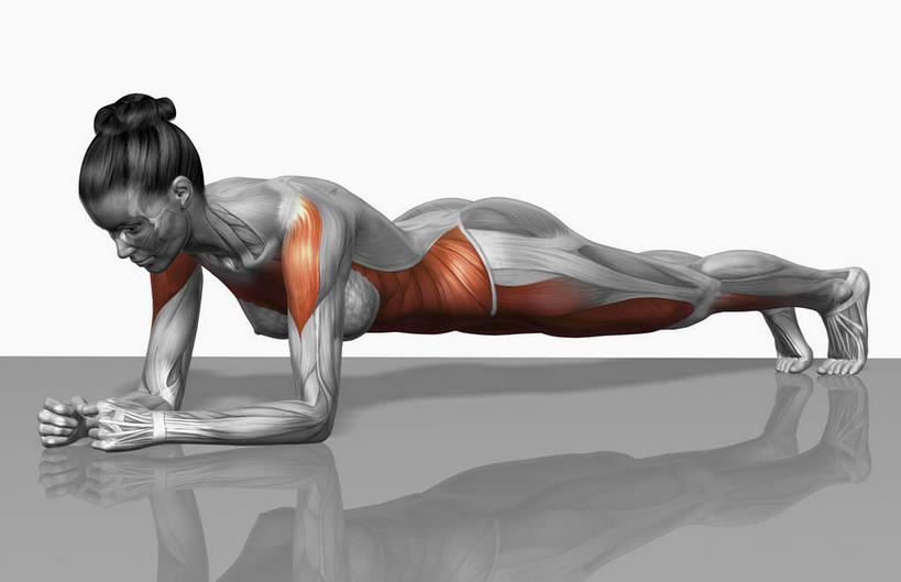 肌肉,健壮,无人,健身房,横图,插画,室内,特写,白天,白色背景,正面,抽象,数码,科技,阴影,网络,高光,几何,计算机图形,合成,图画,画,健康,活力,夸张,力量,青春,电脑合成图,数码合成图,强壮,胸肌,特效,漫画,深奥,腹腹外斜肌,彩图