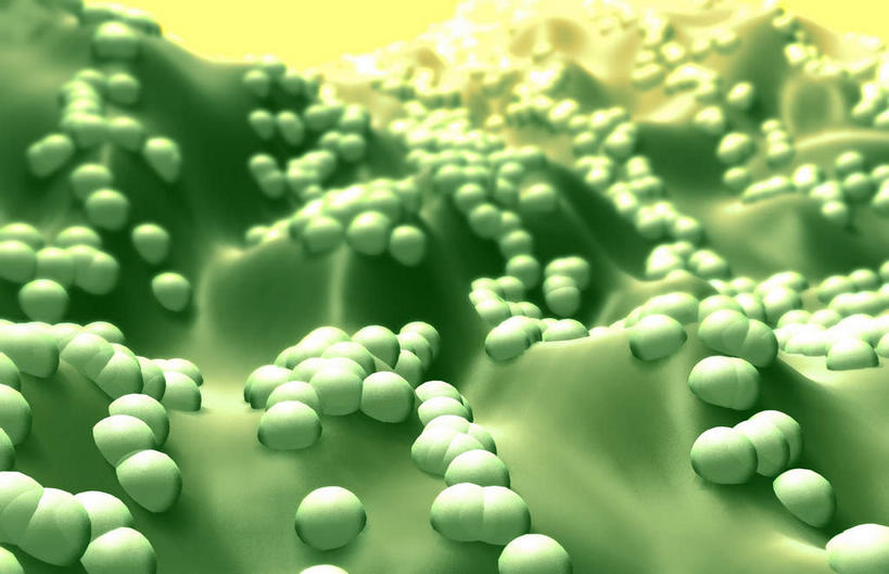 无人,横图,插画,室内,特写,白天,白色背景,正面,数码,科技,微生物,阴影,网络,医学,高光,几何,计算机图形,合成,图画,画,生物,电脑合成图,数码合成图,医疗,病毒,生物学,漫画,写实,具体,具象,寄生,生命体,生物病毒,球菌,彩图