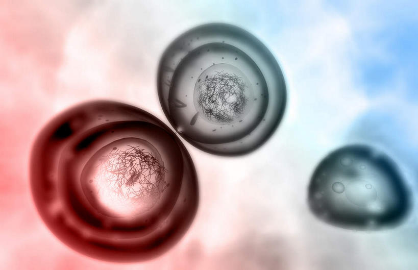 无人,横图,插画,室内,特写,白天,白色背景,正面,数码,科技,静物,阴影,网络,医学,细胞,高光,几何,计算机图形,合成,图画,画,人体,电脑合成图,数码合成图,生物学,漫画,生理学,写实,具体,具象,有丝分裂,彩图