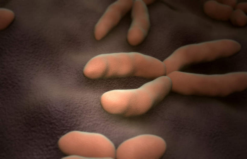 无人,横图,插画,室内,特写,白天,白色背景,正面,数码,科技,阴影,科学,网络,基因,细胞核,染色体,高光,几何,计算机图形,合成,图画,画,生物,遗传,电脑合成图,数码合成图,脱氧核糖核酸,蛋白质,漫画,写实,具体,具象,核糖核酸,染色质,遗传信息,遗传因子,遗传学,彩图