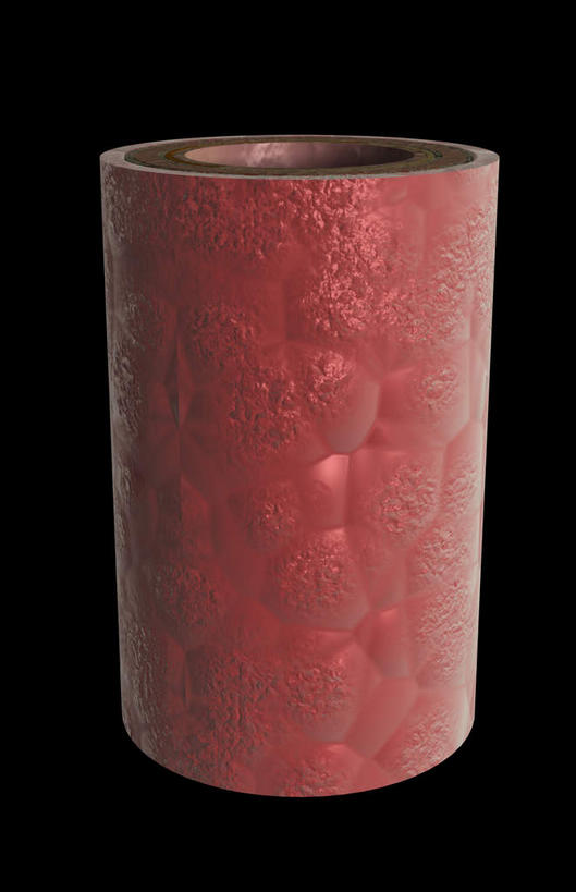 血管,无人,竖图,插画,室内,特写,白天,正面,数码,科技,阴影,黑色背景,网络,医学,膜,高光,几何,计算机图形,合成,图画,画,血液,电脑合成图,数码合成图,生物学,漫画,生理学,写实,具体,具象,动脉管壁,内皮,彩图,血管壁