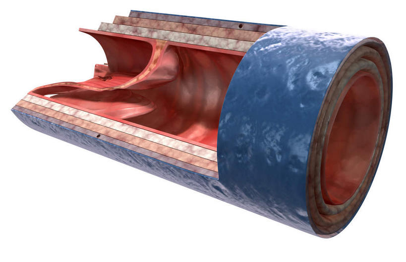 无人,横图,插画,室内,特写,白天,白色背景,正面,数码,科技,阴影,网络,医学,高光,几何,计算机图形,合成,图画,画,血液,电脑合成图,数码合成图,生物学,漫画,生理学,写实,具体,具象,静脉瓣膜,静脉壁,彩图