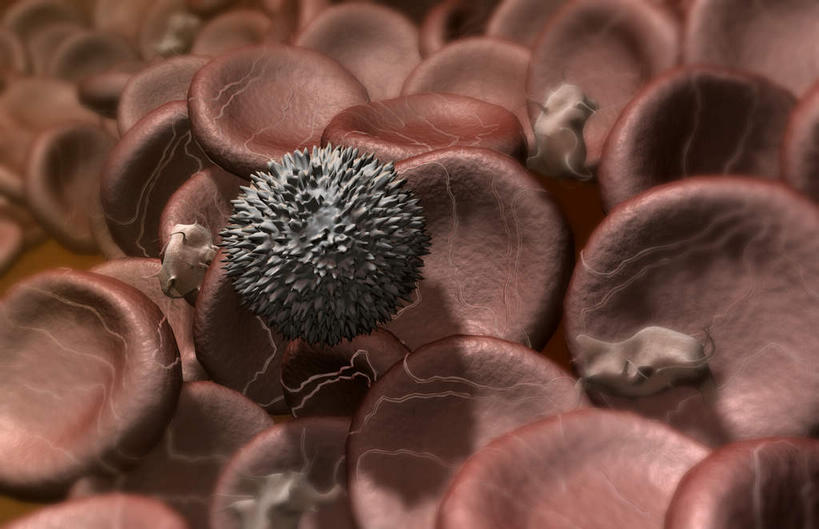 无人,横图,插画,室内,特写,白天,白色背景,正面,数码,科技,静物,阴影,网络,医学,细胞,高光,几何,计算机图形,合成,图画,画,人体,电脑合成图,数码合成图,生物学,血细胞,血小板,漫画,白细胞,生理学,写实,具体,具象,纤维蛋白,彩图