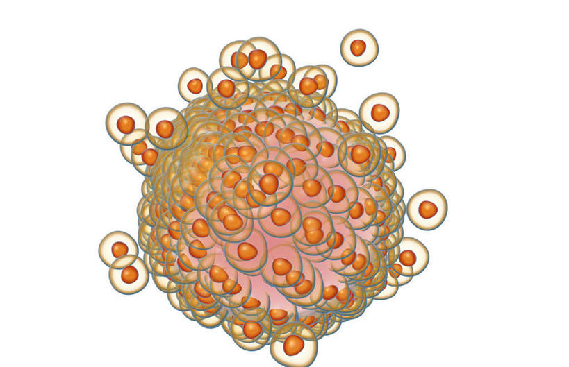 无人,横图,插画,室内,特写,白天,白色背景,正面,数码,科技,静物,阴影,局部,网络,医学,细胞,高光,几何,计算机图形,合成,图画,画,人体,部分,电脑合成图,数码合成图,生物学,漫画,生理学,卵细胞,写实,具体,具象,放射冠,彩图,生殖器官