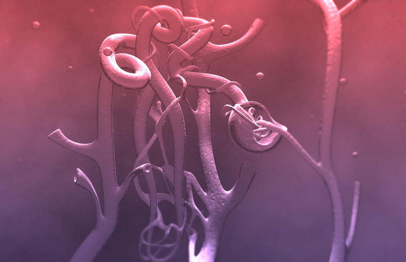 内脏,肾脏,动脉,静脉,毛细血管,无人,横图,插画,室内,特写,白天,正面,数码,科技,静物,阴影,局部,网络,医学,高光,几何,计算机图形,合成,图画,画,模型,人体,部分,电脑合成图,数码合成图,生物学,人体器官,器官,漫画,生理学,写实,具体,具象,彩图,肾小球