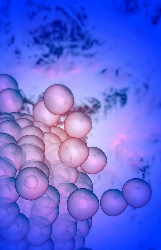 无人,竖图,插画,室内,特写,白天,正面,数码,科技,静物,阴影,科学,网络,医学,细胞,高光,几何,计算机图形,合成,图画,画,怀孕,人体,电脑合成图,数码合成图,医疗,生物学,科学技术,人工受精,卵子,漫画,试管婴儿,生理学,写实,具体,具象,放射冠,彩图,生殖器官,体外受精,体外受孕