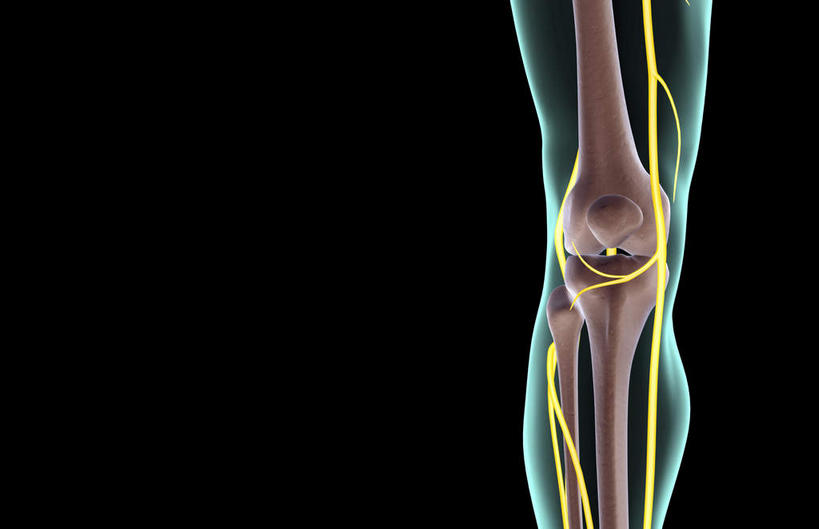 神经,动脉,静脉,骨骼,无人,横图,插画,x光片,室内,特写,白天,正面,数码,科技,静物,阴影,黑色背景,局部,辐射,科学,网络,医学,骨头,光芒,高光,几何,计算机图形,合成,图画,画,蓝色,模型,人体,皮肤,部分,电脑合成图,数码合成图,骨架,医疗,生物学,科学技术,x射线,x光,漫画,生理学,写实,具体,具象,髌骨,隐神经,彩图,电磁波,电磁辐射