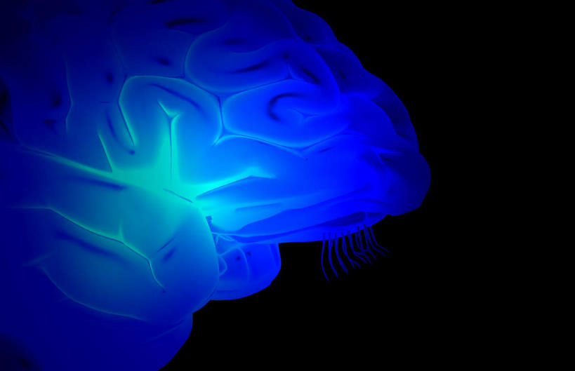 动脉,静脉,无人,横图,插画,室内,特写,白天,正面,数码,科技,静物,大脑,阴影,黑色背景,局部,网络,医学,光芒,高光,几何,计算机图形,合成,图画,画,蓝色,模型,皮质,人体,部分,电脑合成图,数码合成图,生物学,器官,沟壑,漫画,小脑,脑干,生理学,写实,具体,具象,大脑皮层,端脑,额叶,沟,灰质,回,间脑,岛叶,彩图