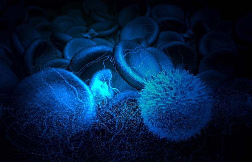 无人,横图,插画,室内,特写,白天,正面,数码,科技,静物,阴影,网络,医学,细胞,高光,几何,计算机图形,合成,图画,画,人体,电脑合成图,数码合成图,生物学,漫画,白细胞,生理学,写实,具体,具象,红血细胞,彩图