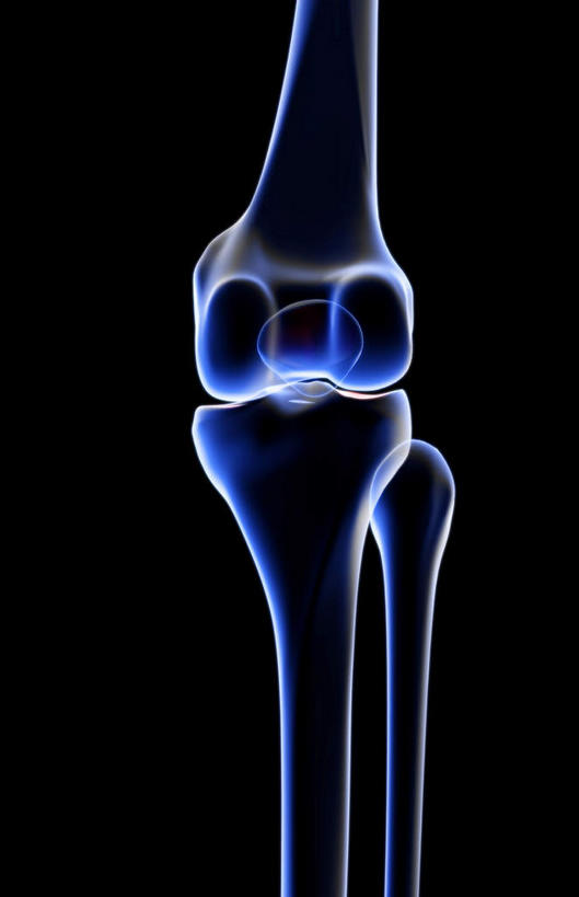 动脉,静脉,骨骼,无人,医院,竖图,插画,x光片,室内,特写,白天,正面,数码,科技,静物,阴影,局部,辐射,科学,网络,医学,骨头,高光,几何,计算机图形,合成,图画,画,模型,人体,部分,电脑合成图,数码合成图,骨架,医疗,生物学,科学技术,x射线,x光,漫画,医疗机构,生理学,写实,具体,具象,髌骨,内上髁,外侧髁,外上髁,半身,彩图,病院,诊所,电磁波,电磁辐射