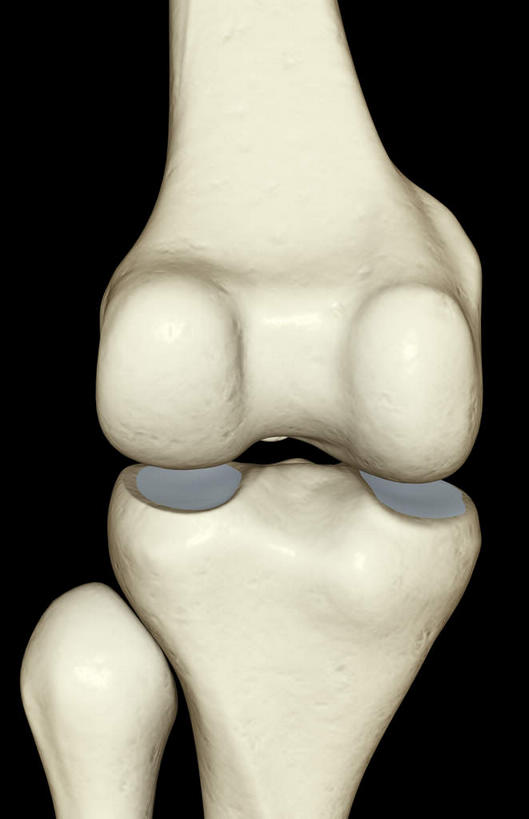 动脉,静脉,骨骼,无人,竖图,插画,室内,特写,白天,正面,数码,科技,静物,阴影,黑色背景,局部,网络,医学,骨头,高光,几何,计算机图形,合成,图画,画,模型,人体,部分,电脑合成图,数码合成图,骨架,生物学,漫画,生理学,写实,具体,具象,髌骨,肱骨内上髁,外侧髁,外上髁,半身,彩图