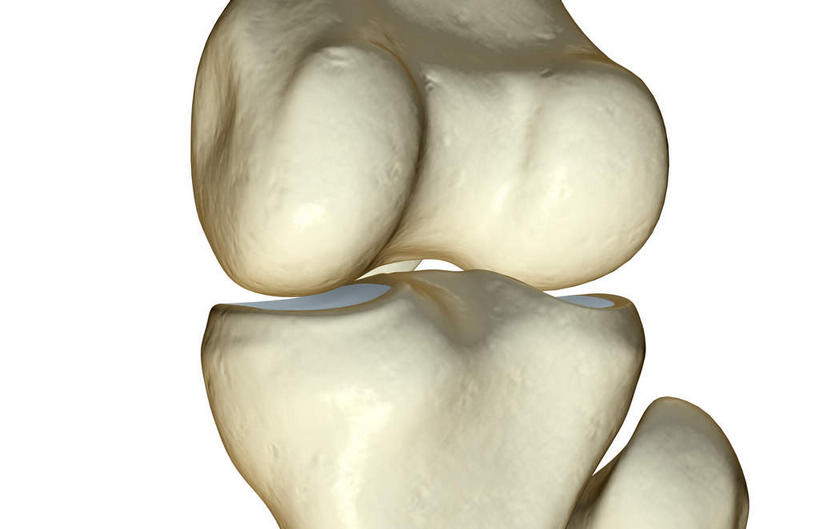 动脉,静脉,骨骼,无人,横图,插画,室内,特写,白天,白色背景,正面,数码,科技,静物,阴影,局部,网络,医学,骨头,高光,几何,计算机图形,合成,图画,画,模型,人体,部分,电脑合成图,数码合成图,骨架,生物学,漫画,生理学,写实,具体,具象,髌骨,肱骨内上髁,外侧髁,外上髁,半身,彩图