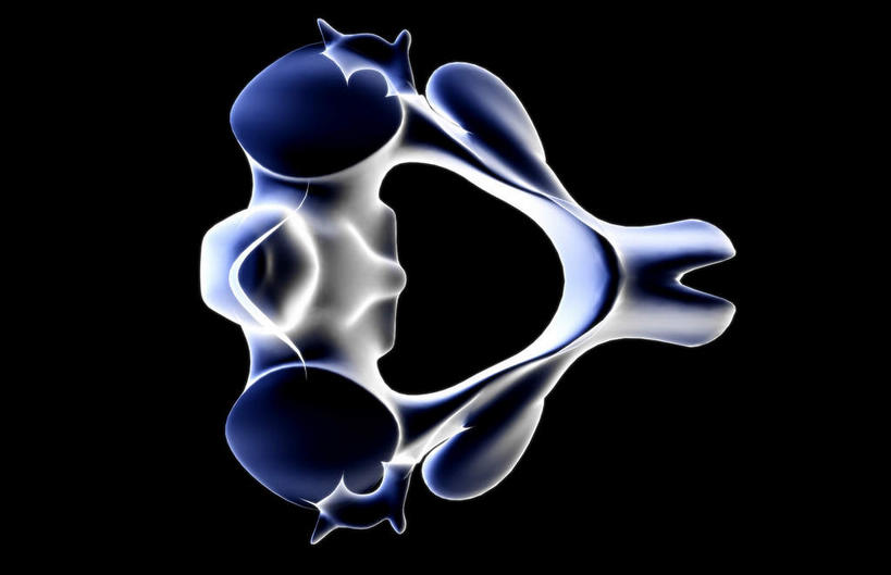 动脉,静脉,骨骼,无人,医院,横图,插画,x光片,室内,特写,白天,正面,数码,科技,静物,阴影,局部,辐射,科学,网络,医学,骨头,高光,几何,计算机图形,合成,图画,画,模型,人体,部分,电脑合成图,数码合成图,骨架,医疗,生物学,科学技术,x射线,x光,漫画,医疗机构,生理学,写实,具体,具象,颈椎骨,半身,彩图,病院,诊所,电磁波,电磁辐射