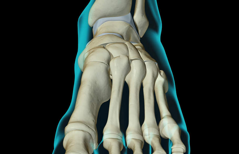 动脉,静脉,骨骼,无人,横图,插画,x光片,室内,特写,白天,正面,数码,科技,静物,阴影,黑色背景,辐射,科学,网络,医学,线条,骨头,高光,几何,计算机图形,合成,图画,画,模型,人体,轮廓,电脑合成图,数码合成图,骨架,医疗,生物学,科学技术,x射线,x光,漫画,生理学,写实,具体,具象,跖骨,舟骨,足骨,彩图,电磁波,电磁辐射