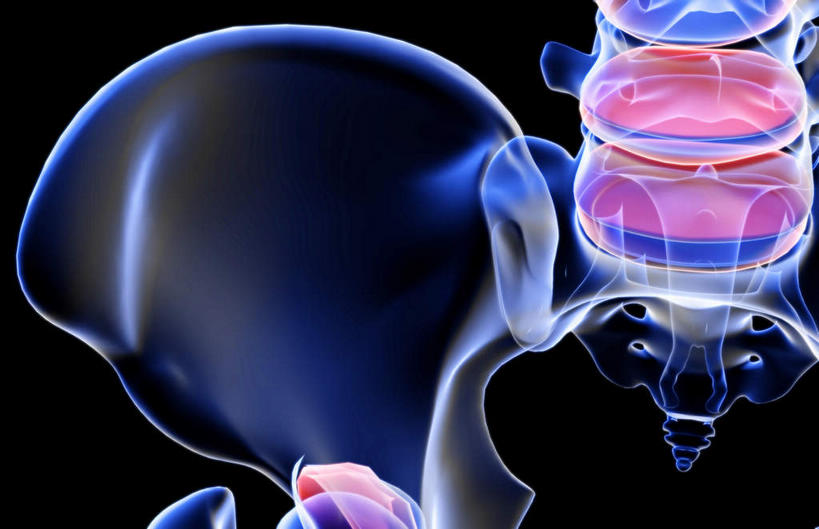 脊髓,动脉,静脉,骨骼,无人,横图,插画,x光片,室内,特写,白天,正面,数码,科技,静物,阴影,黑色背景,辐射,科学,网络,医学,骨头,高光,几何,计算机图形,合成,图画,画,模型,人体,电脑合成图,数码合成图,骨架,医疗,生物学,科学技术,x射线,x光,漫画,生理学,写实,具体,具象,髋骨,椎骨,脊椎骨,脊柱,彩图,电磁波,电磁辐射