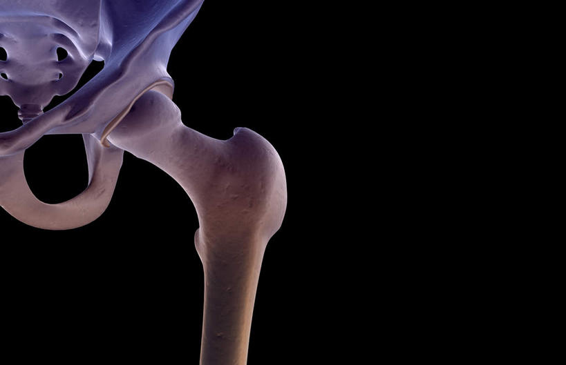 动脉,静脉,骨骼,脊椎,无人,横图,插画,x光片,室内,特写,白天,正面,数码,科技,静物,阴影,黑色背景,辐射,科学,网络,医学,骨头,高光,几何,计算机图形,合成,图画,画,模型,人体,电脑合成图,数码合成图,骨架,医疗,生物学,科学技术,x射线,x光,漫画,生理学,写实,具体,具象,股骨,椎骨,耻骨,脊椎骨,坐骨,脊柱,彩图,电磁波,电磁辐射