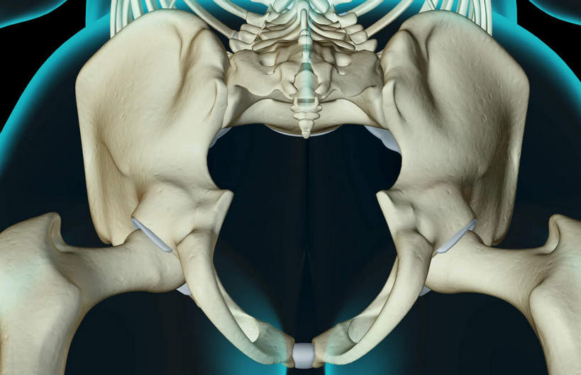 动脉,静脉,骨骼,肋骨,脊椎,无人,横图,插画,x光片,室内,特写,白天,正面,数码,科技,静物,阴影,黑色背景,辐射,科学,网络,医学,线条,骨头,高光,几何,计算机图形,合成,图画,画,模型,人体,轮廓,电脑合成图,数码合成图,骨架,医疗,生物学,科学技术,x射线,x光,漫画,生理学,写实,具体,具象,髋骨,尾骨,椎骨,脊椎骨,坐骨,脊柱,彩图,电磁波,电磁辐射