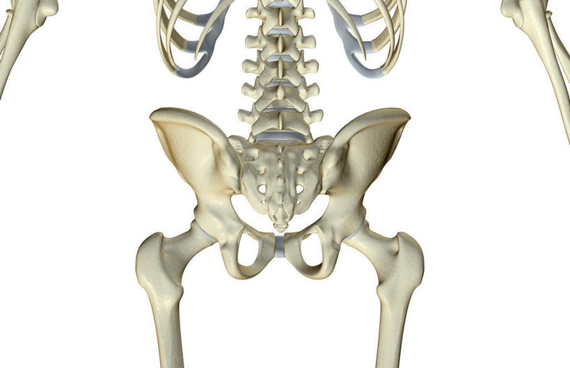 动脉,静脉,骨骼,肋骨,脊椎,无人,横图,插画,x光片,室内,特写,白天,白色背景,正面,数码,科技,静物,阴影,辐射,科学,网络,医学,骨头,高光,几何,计算机图形,合成,图画,画,模型,人体,电脑合成图,数码合成图,骨架,医疗,生物学,科学技术,x射线,x光,漫画,生理学,写实,具体,具象,股骨,髋骨,桡骨,尾骨,椎骨,脊椎骨,腰椎,坐骨,脊柱,彩图,电磁波,电磁辐射