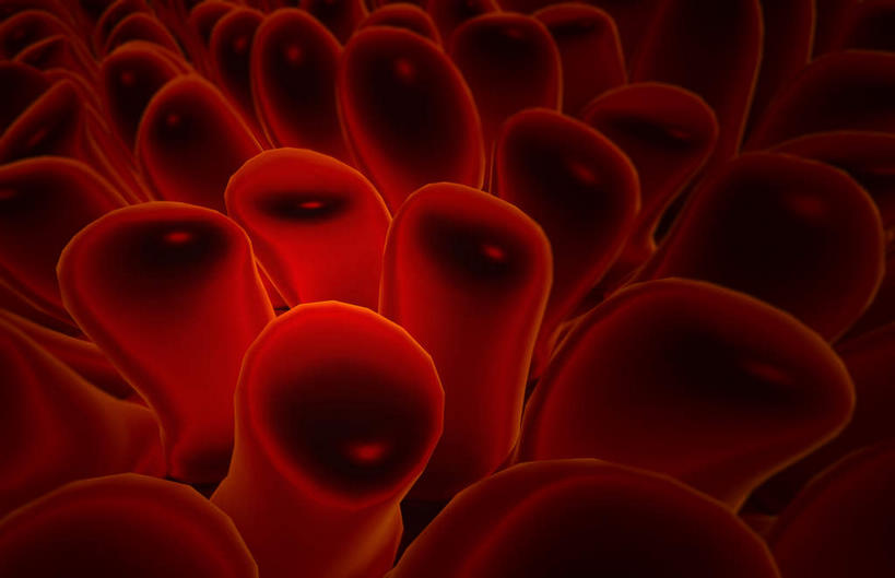 内脏,肠,动脉,静脉,十二指肠,无人,横图,插画,室内,白天,正面,数码,科技,静物,许多,阴影,网络,医学,绒毛,高光,几何,计算机图形,合成,图画,画,模型,粘液,人体,电脑合成图,数码合成图,生物学,人体器官,器官,漫画,生理学,写实,具体,具象,黏膜,大肠,盲肠,小肠,直肠,彩图