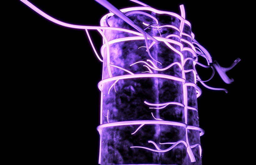 动脉,静脉,骨骼,脊椎,无人,横图,插画,x光片,室内,特写,白天,正面,数码,科技,静物,阴影,黑色背景,辐射,科学,网络,医学,线条,骨头,高光,几何,计算机图形,合成,图画,画,模型,人体,轮廓,电脑合成图,数码合成图,骨架,医疗,生物学,科学技术,x射线,x光,漫画,生理学,写实,具体,具象,神经根,椎骨,脊椎骨,神经细胞,脊柱,彩图,电磁波,电磁辐射