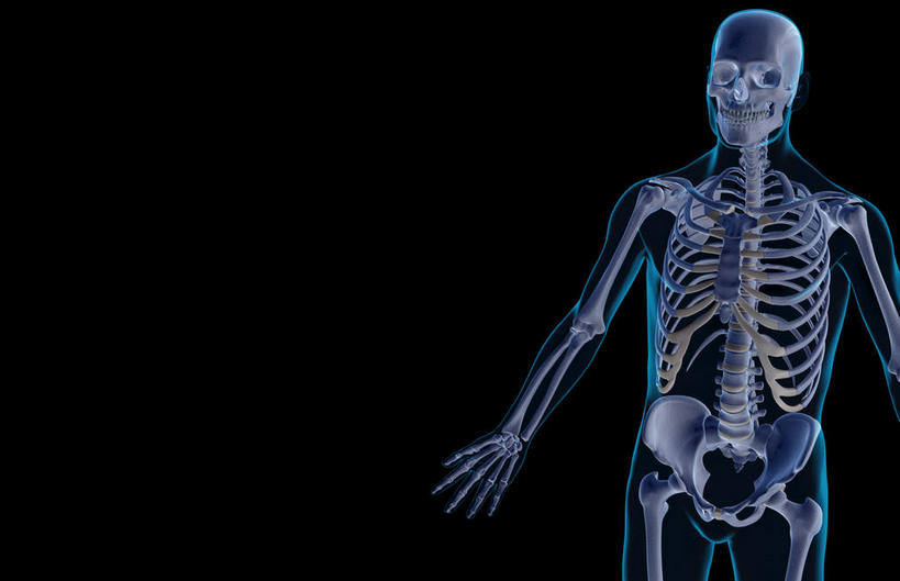 颅骨,动脉,静脉,骨骼,肋骨,骨盆,无人,横图,插画,x光片,室内,特写,白天,正面,数码,科技,静物,阴影,黑色背景,辐射,科学,网络,医学,线条,骨头,高光,几何,计算机图形,合成,图画,画,模型,人体,轮廓,电脑合成图,数码合成图,骨架,医疗,生物学,科学技术,x射线,手骨,腿骨,盆骨,x光,漫画,生理学,写实,具体,具象,肱骨,股骨,胫骨,面颊骨,坐骨,头盖骨,彩图,电磁波,电磁辐射