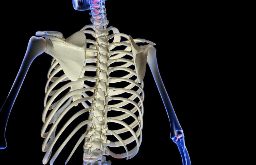 锁骨,肩胛骨,动脉,静脉,骨骼,肋骨,脊椎,骨盆,无人,横图,插画,x光片,室内,特写,白天,正面,数码,科技,静物,阴影,黑色背景,辐射,科学,网络,医学,骨头,高光,几何,计算机图形,合成,图画,画,模型,人体,电脑合成图,数码合成图,骨架,医疗,生物学,科学技术,x射线,手骨,盆骨,x光,漫画,生理学,写实,具体,具象,肱骨,股骨,桡骨,椎骨,脊椎骨,坐骨,脊柱,彩图,电磁波,电磁辐射