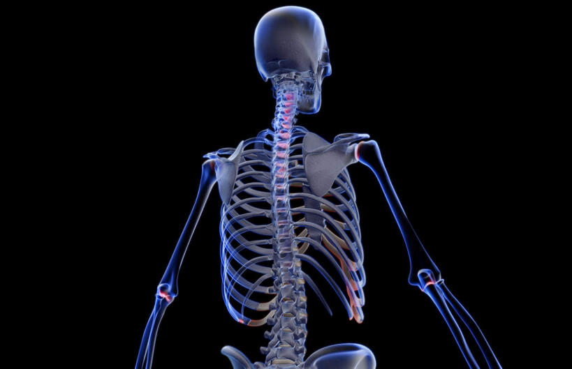 颅骨,锁骨,肩胛骨,动脉,静脉,骨骼,肋骨,脊椎,骨盆,无人,横图,插画,x光片,室内,特写,白天,正面,数码,科技,静物,阴影,黑色背景,辐射,科学,网络,医学,头骨,骨头,高光,几何,计算机图形,合成,图画,画,模型,人体,电脑合成图,数码合成图,骨架,医疗,生物学,科学技术,x射线,手骨,盆骨,x光,漫画,生理学,写实,具体,具象,肱骨,股骨,桡骨,椎骨,脊椎骨,坐骨,脊柱,头盖骨,彩图,电磁波,电磁辐射