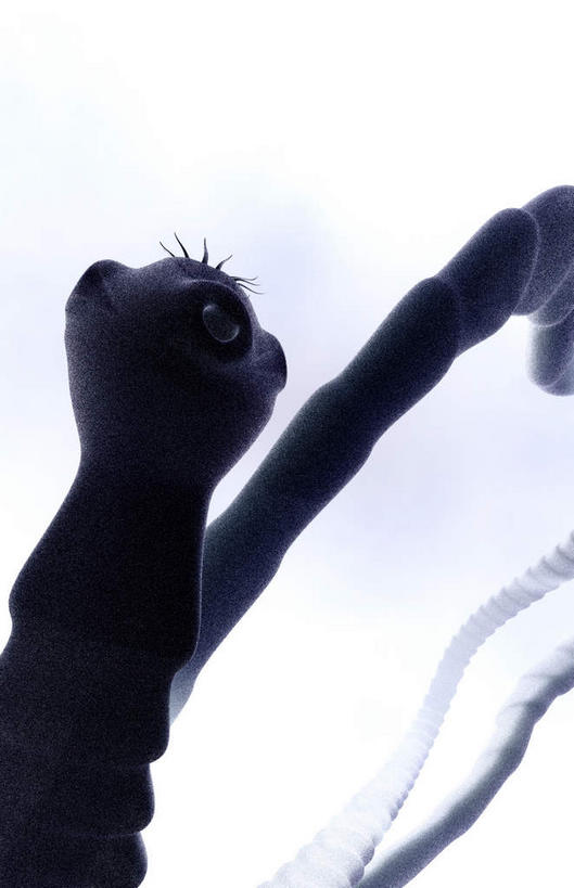 无人,竖图,插画,室内,白天,白色背景,正面,数码,科技,静物,一条,阴影,微小,网络,细菌,医学,高光,几何,计算机图形,合成,图画,画,动物,人体,电脑合成图,数码合成图,生物学,漫画,病菌,生理学,写实,具体,具象,传染,寄生,寄生虫,绦虫,彩图,微弱