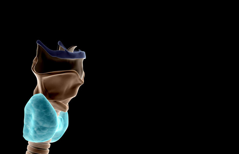 骨骼,无人,横图,插画,室内,白天,正面,数码,科技,静物,阴影,黑色背景,网络,医学,骨头,高光,几何,计算机图形,合成,图画,画,人体,电脑合成图,数码合成图,骨架,生物学,漫画,生理学,写实,具体,具象,甲状腺,环状软骨,甲状软骨,舌骨,气管软骨,彩图