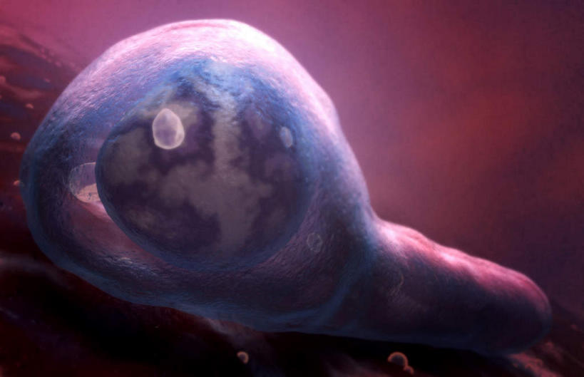 无人,横图,插画,室内,白天,白色背景,正面,数码,科技,静物,阴影,网络,医学,细胞,高光,几何,计算机图形,合成,图画,画,人体,电脑合成图,数码合成图,疾病,生物学,漫画,生理学,写实,具体,具象,传染,破伤风杆菌,破伤风,彩图,杆状体