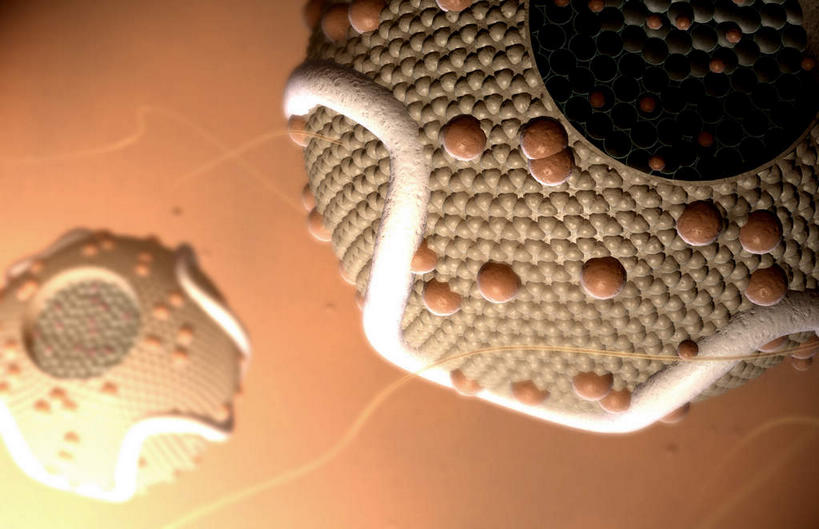 无人,横图,插画,室内,白天,白色背景,正面,数码,科技,静物,阴影,网络,医学,细胞,高光,几何,计算机图形,合成,图画,画,人体,电脑合成图,数码合成图,生物学,蛋白质,漫画,生理学,写实,具体,具象,胆固醇,低密度脂蛋白,脂蛋白,彩图