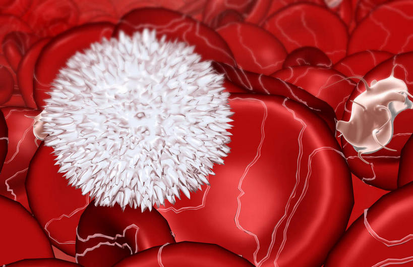 无人,横图,插画,室内,白天,白色背景,正面,数码,科技,静物,阴影,网络,医学,细胞,高光,几何,计算机图形,合成,图画,画,血液,人体,电脑合成图,数码合成图,生物学,血细胞,漫画,白细胞,生理学,写实,具体,具象,红细胞,彩图