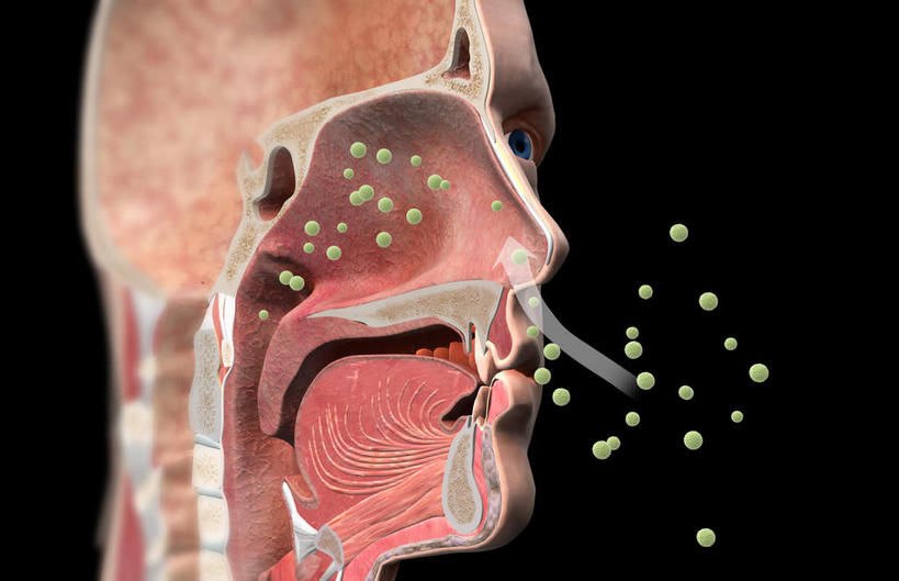 脸,头,鼻子,脸颊,无人,横图,插画,室内,白天,正面,数码,科技,静物,阴影,黑色背景,网络,医学,高光,几何,计算机图形,合成,图画,画,人体,电脑合成图,数码合成图,生物学,漫画,花粉,过敏,鼻腔,生理学,写实,具体,具象,过敏反应,花粉症,过敏症,头部,鼻,鼻孔,脸部,脸蛋,面部,彩图