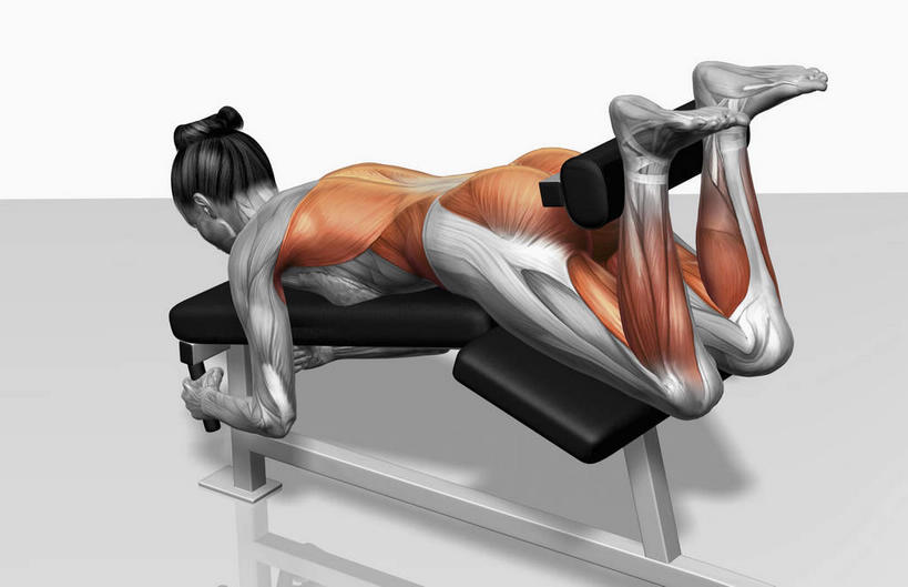 西方人,一个人,无人,健身房,横图,俯视,插画,室内,白天,白色背景,数码,科技,欧洲,欧洲人,仅一个年轻女性,仅一个女性,仅一个人,握,阴影,网络,高光,几何,计算机图形,拿,合成,图画,拿着,运动器械,画,趴着,健身器械,握着,电脑合成图,数码合成图,健身器材,漫画,写实,具体,具象,背阔肌,腹外斜肌,胫骨前肌,肌肉训练,重量训练,年轻女性,女人,女性,白种人,趴,彩图,高角度拍摄,全身,健身馆,运动器材