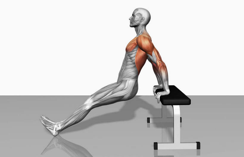 西方人,肌肉,健壮,一个人,无人,健身房,横图,插画,室内,白天,白色背景,侧面,数码,科技,欧洲,欧洲人,仅一个男性,仅一个人,撑,阴影,网络,高光,几何,计算机图形,合成,图画,运动器械,画,仅一个年轻男性,健康,健身器械,活力,力量,青春,电脑合成图,数码合成图,撑着,强壮,胸肌,健身器材,漫画,写实,具体,具象,背阔肌,三角肌,肌肉训练,重量训练,男人,男性,年轻男性,白种人,彩图,全身,健身馆,运动器材